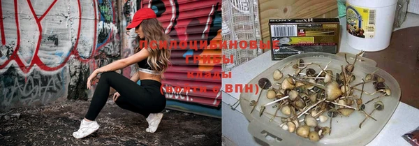 винт Горняк